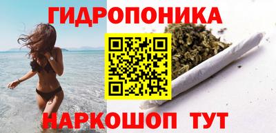 прущие грибы Комсомольск-на-Амуре