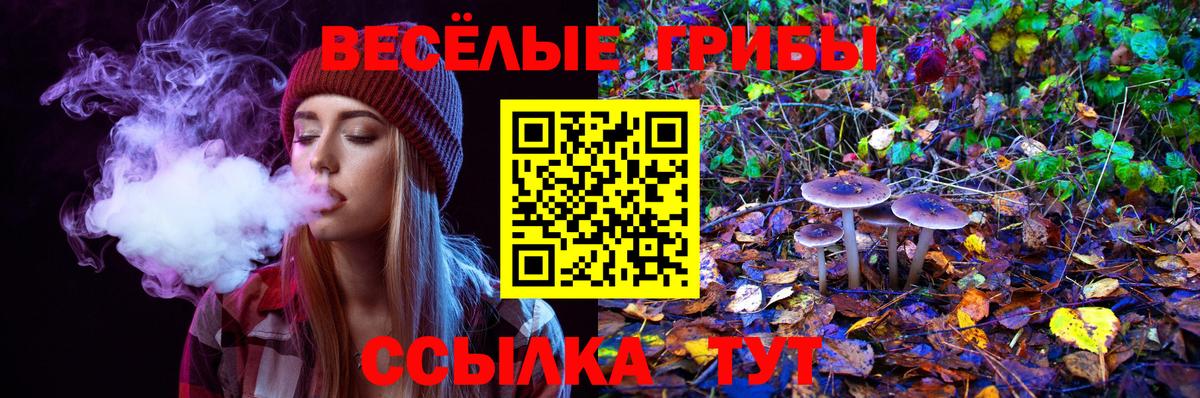 Хабаровск  Псилоцибиновые грибы GOLDEN TEACHER  как найти закладки  Вход с VPN 