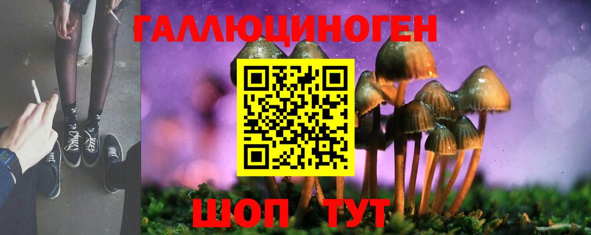 Галлюциногенные грибы Cubensis Хабаровск